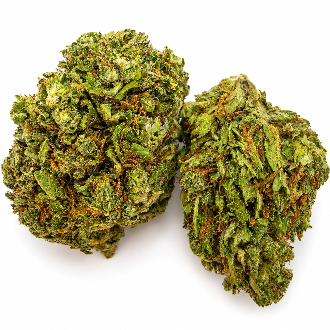 Acapulco Gold — view 2