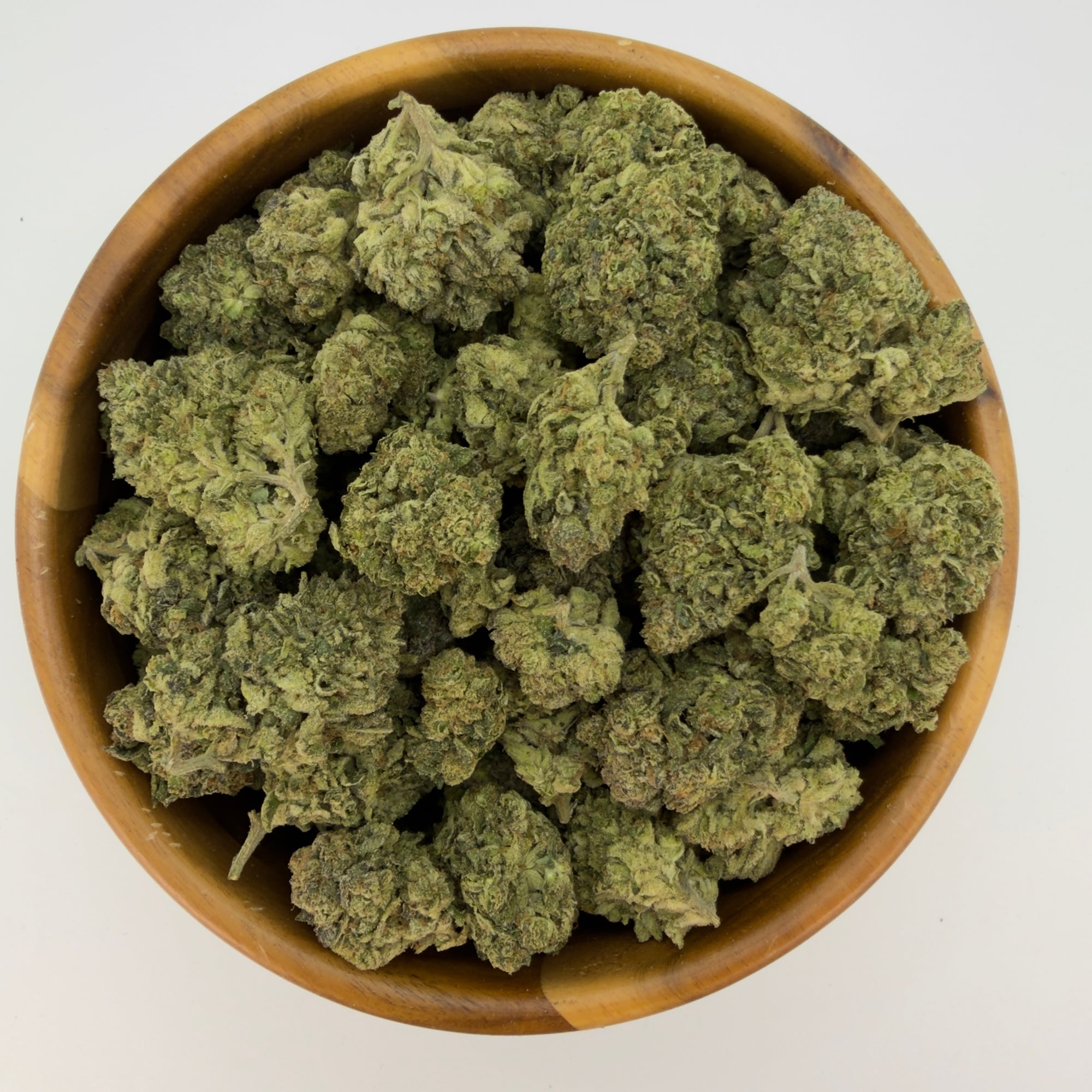 Animal Tsunami