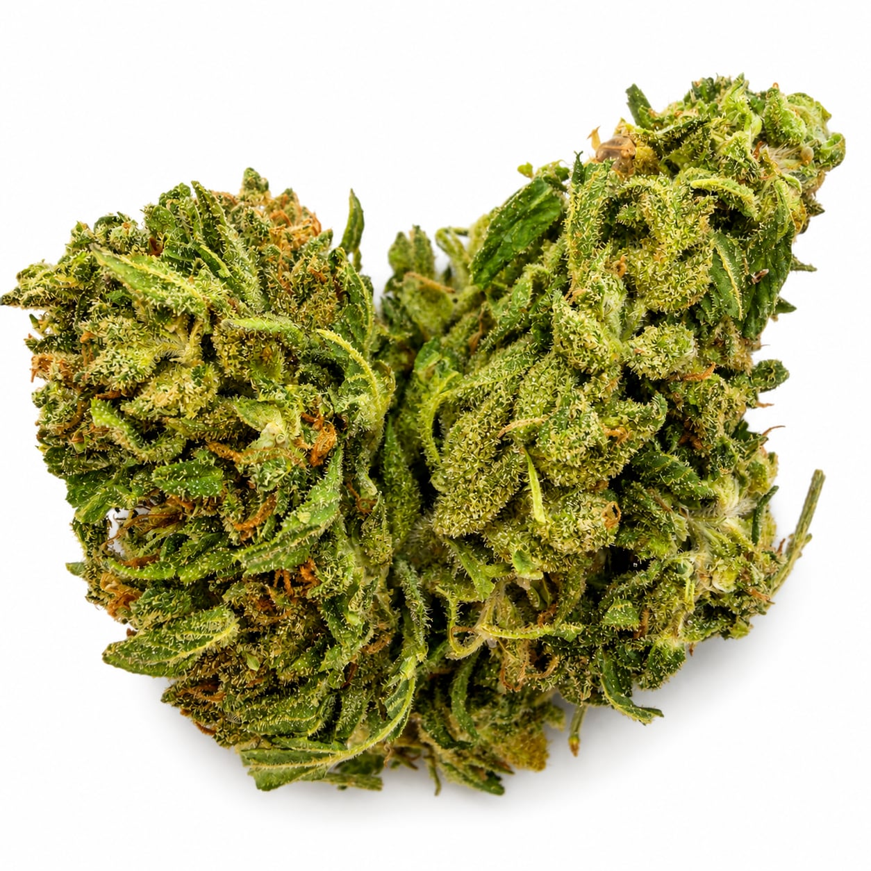 Blue Diesel — view 2