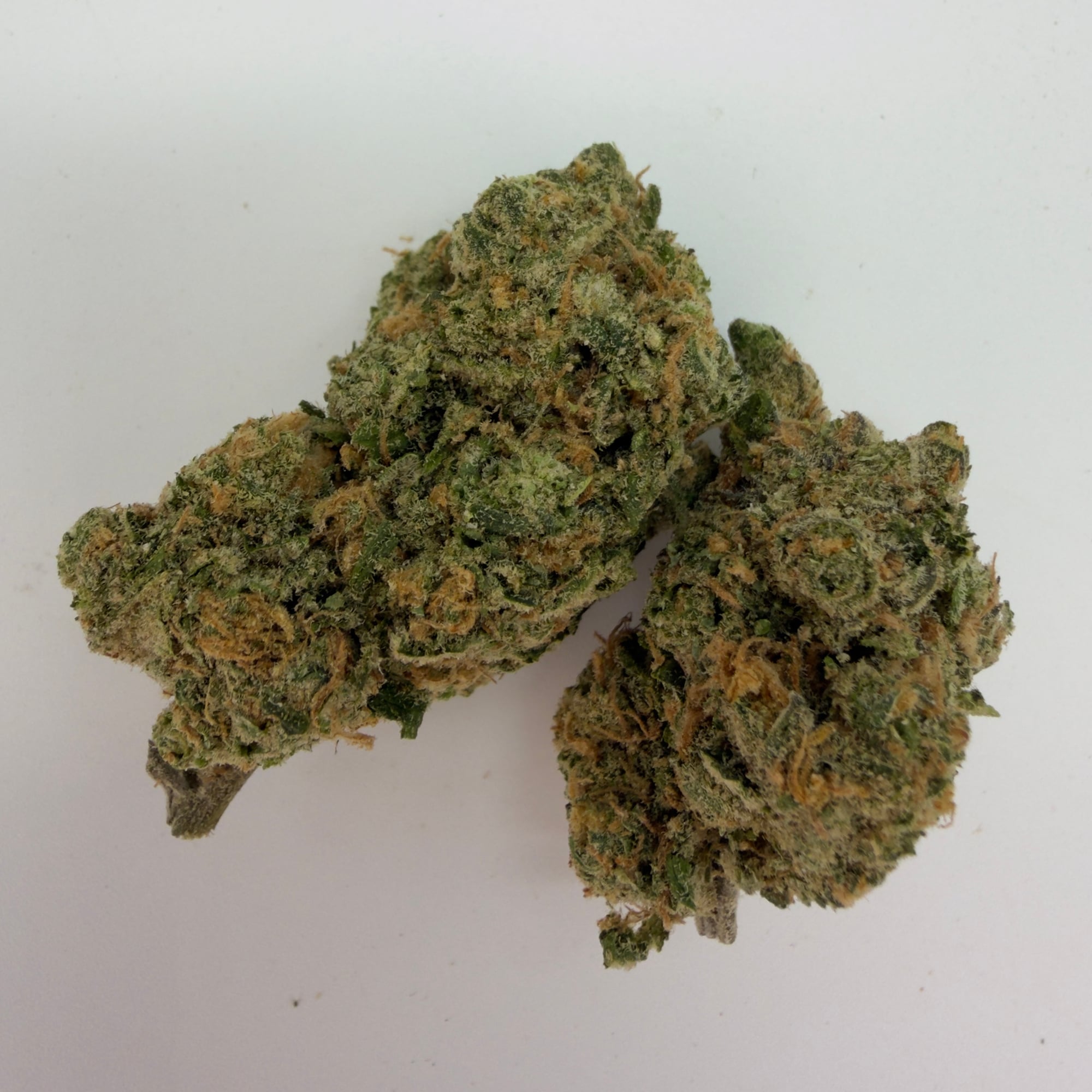 Blue Dream