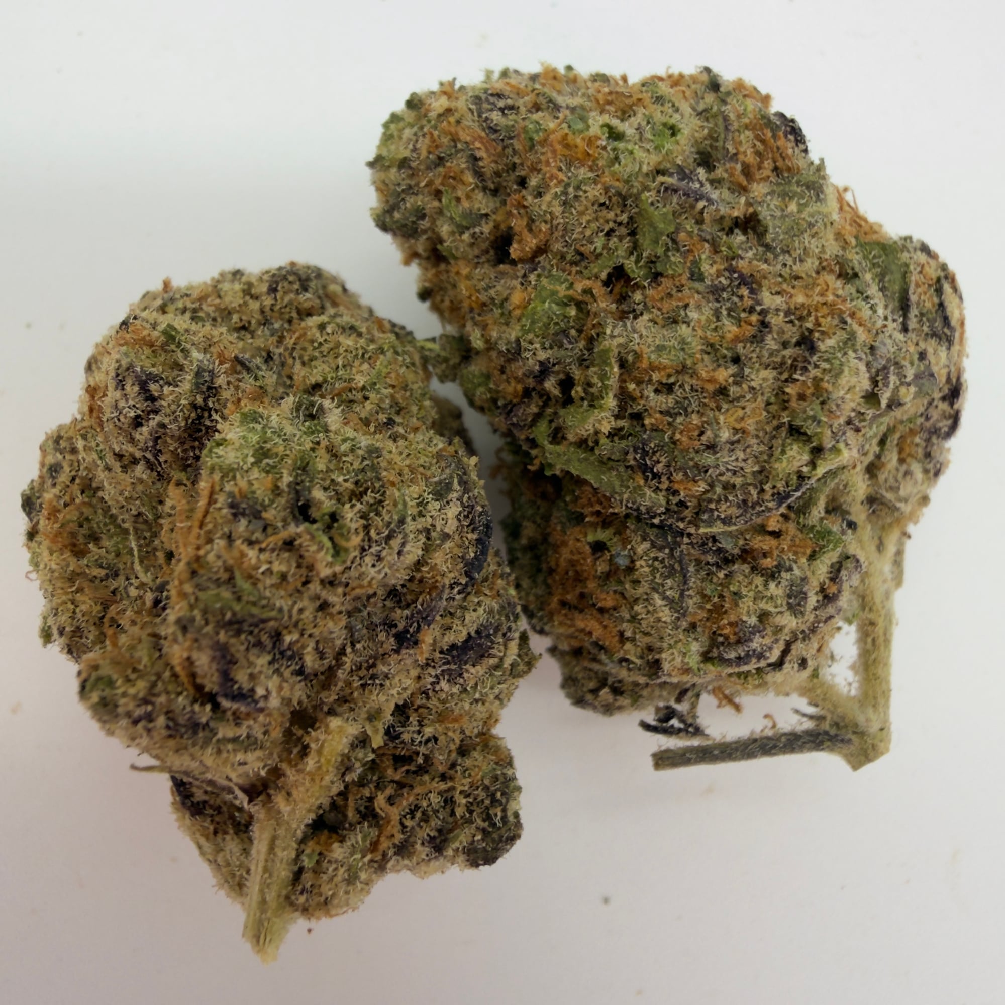 Blue Skittles — view 2