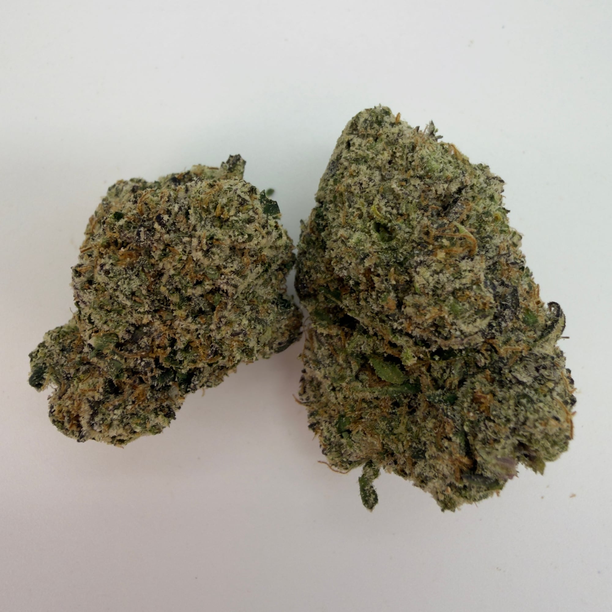Cherry Boom