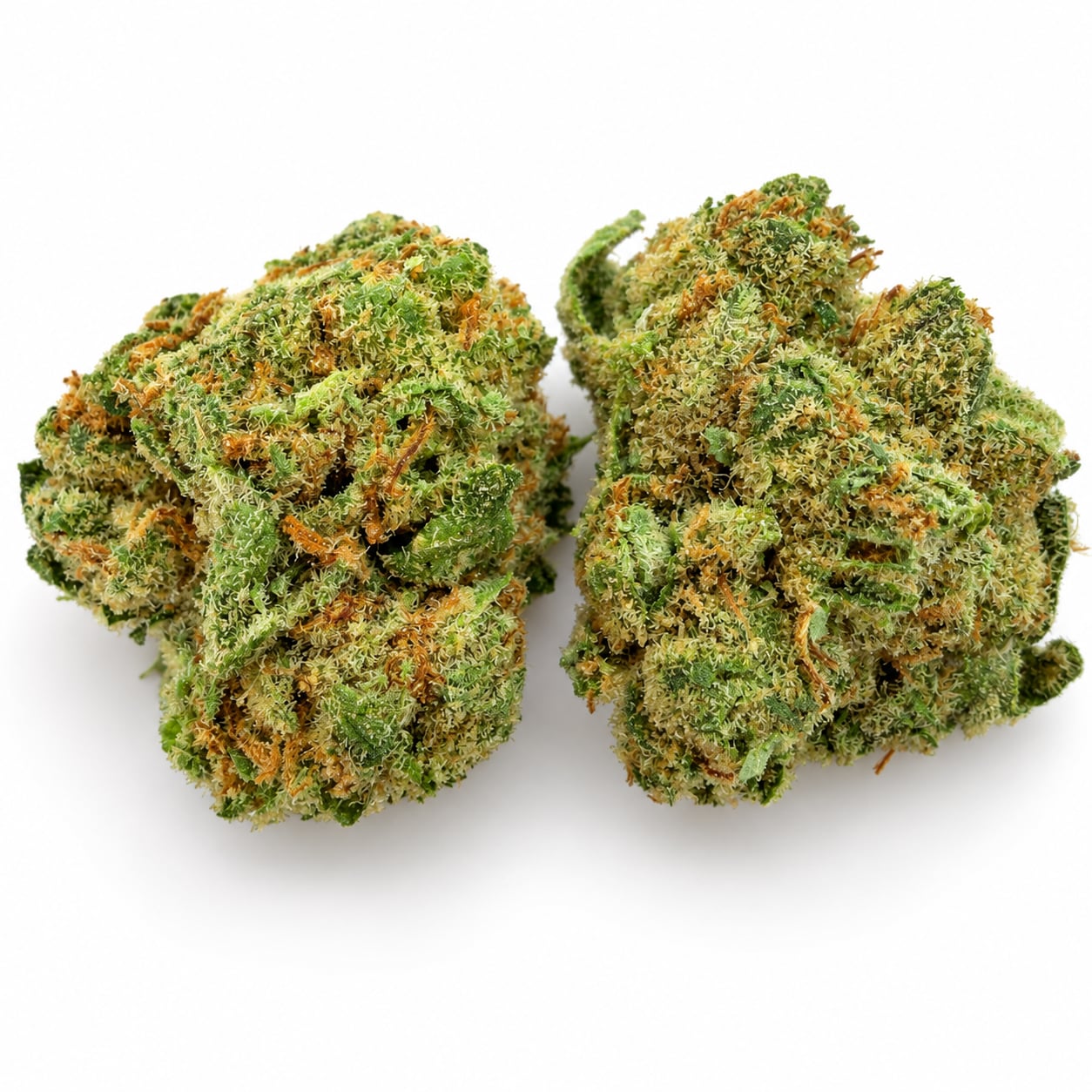 Durban Poison — view 2