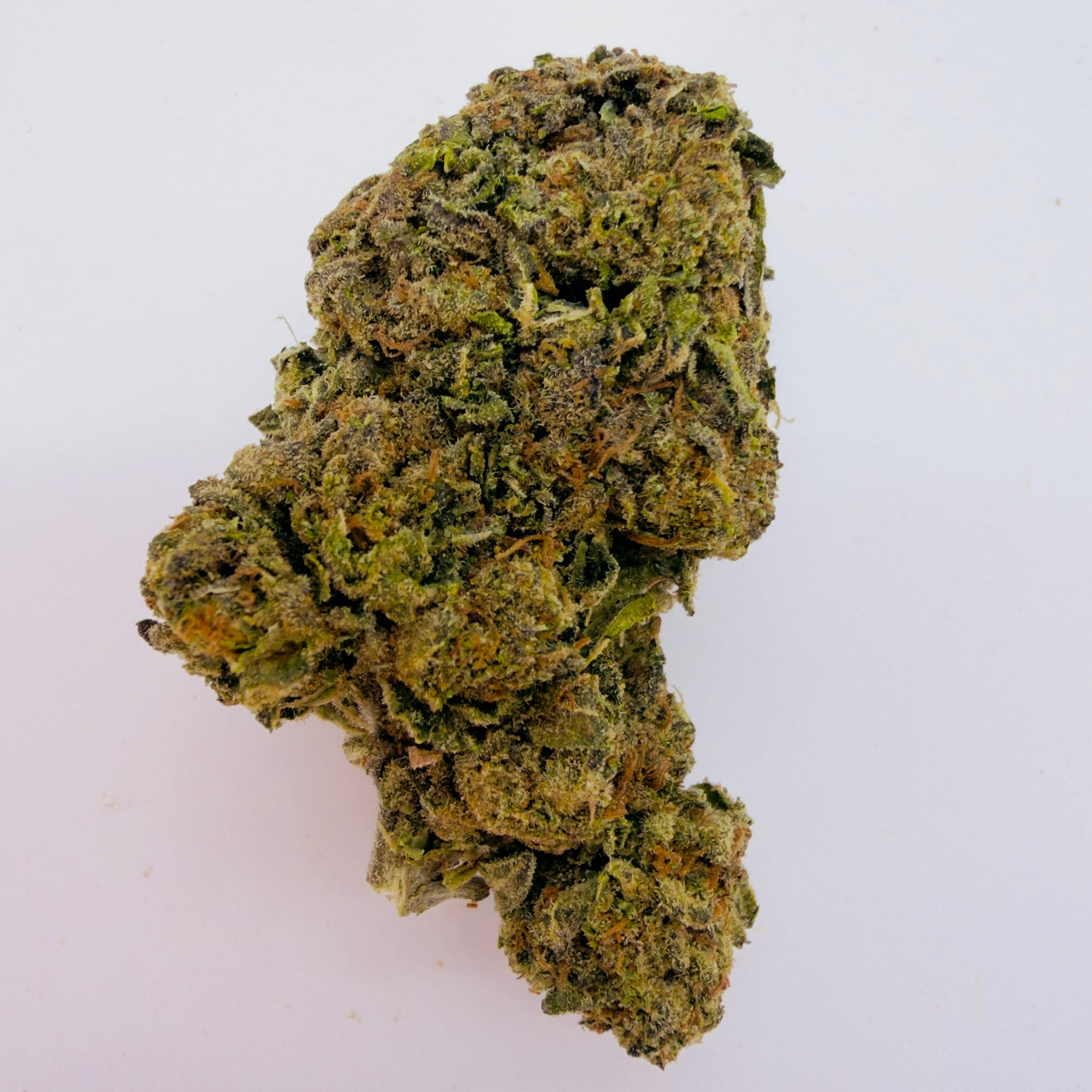 Gas Face
