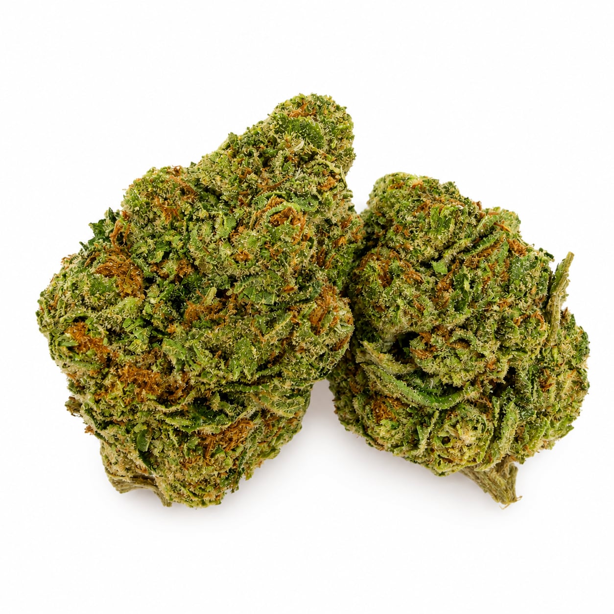 Gelato 41 — view 2