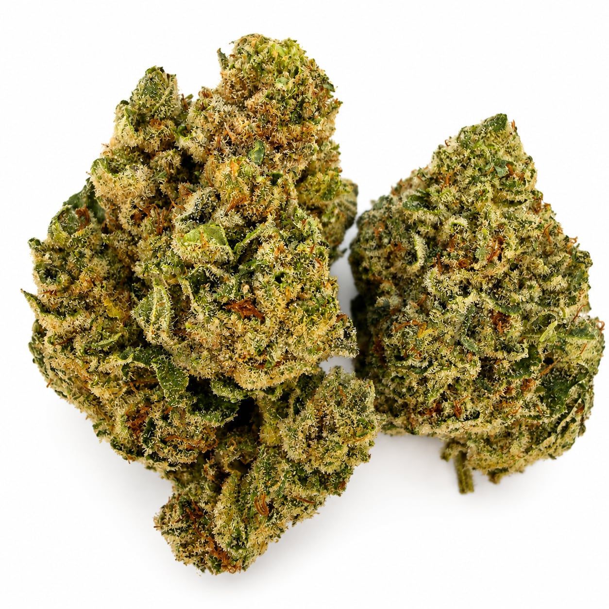 Gorilla Glue