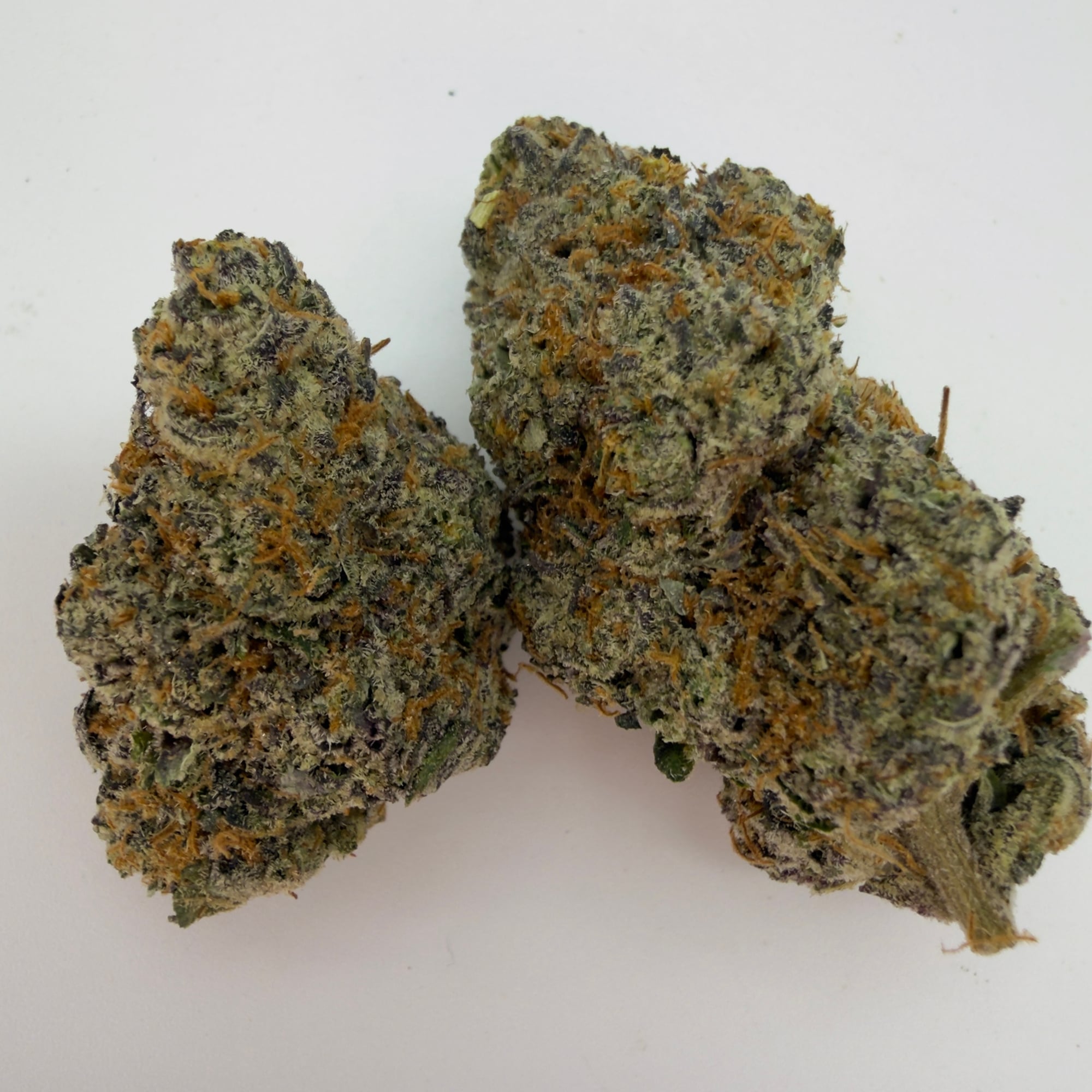 Gorilla Glue — view 2