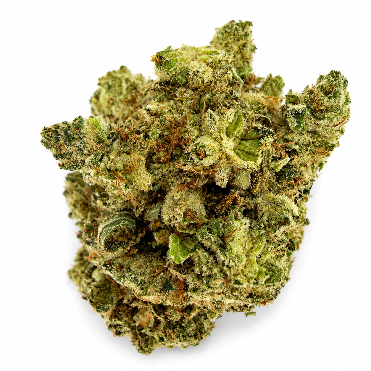 GORILLA GLUE #4