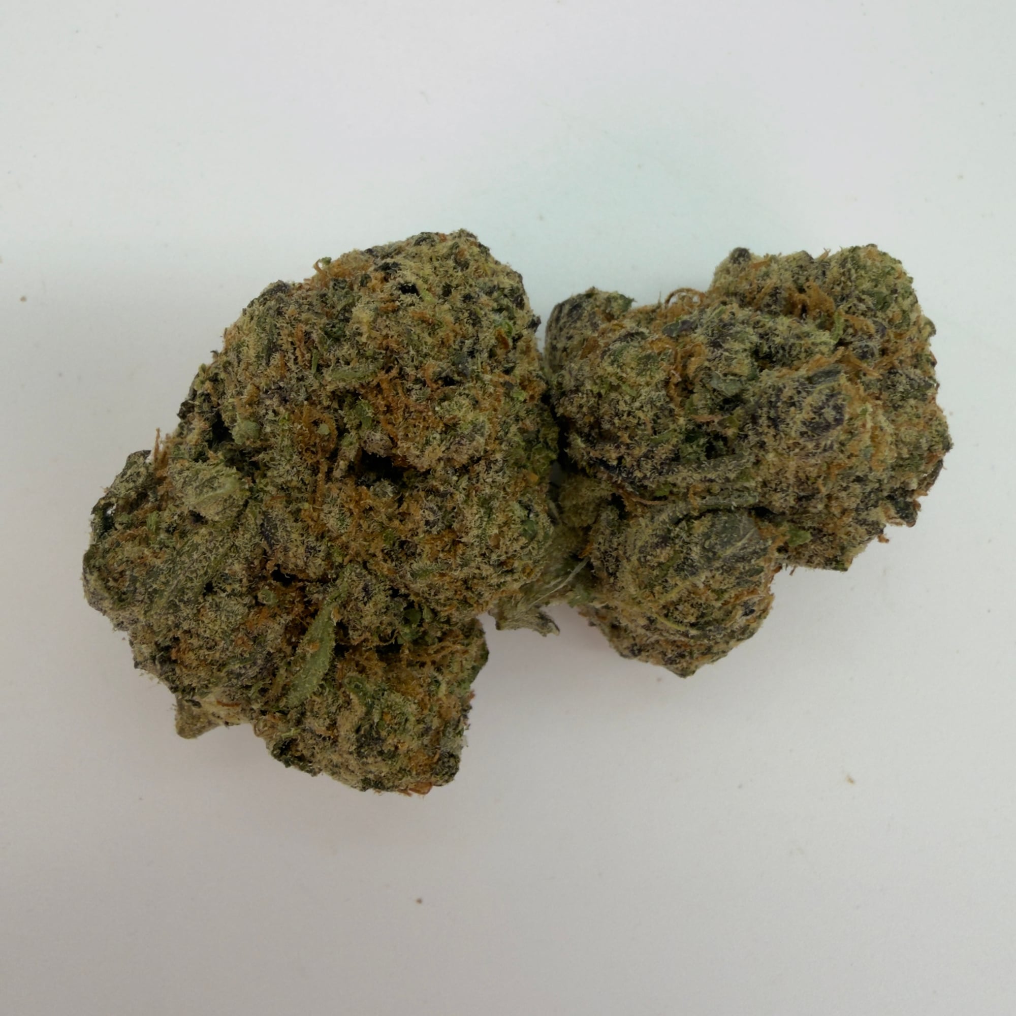 Green Slime — view 2