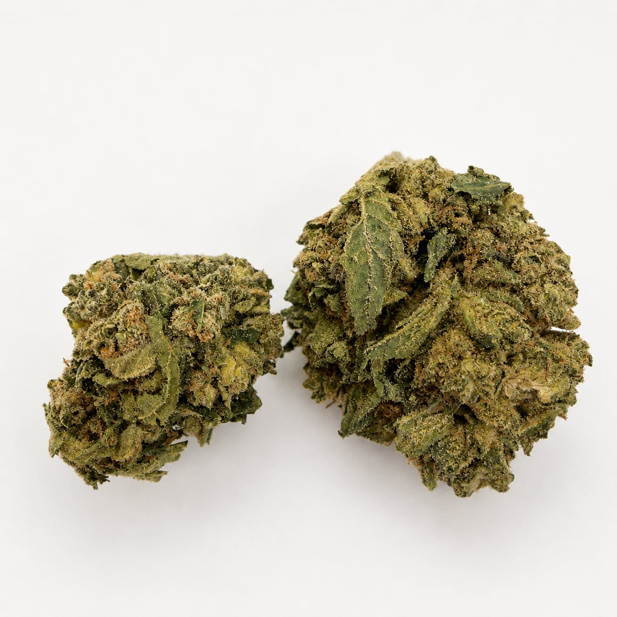 Guava
