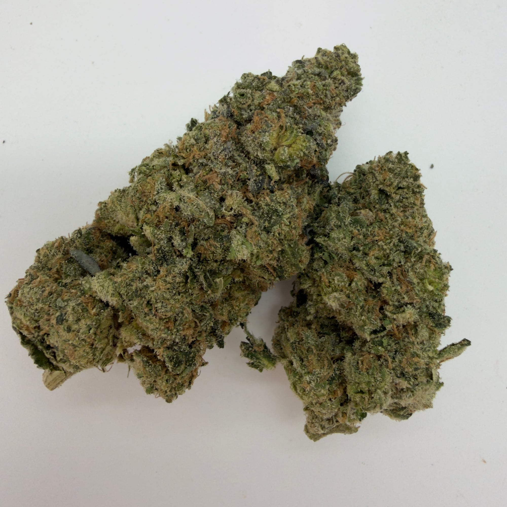 Jack the Ripper