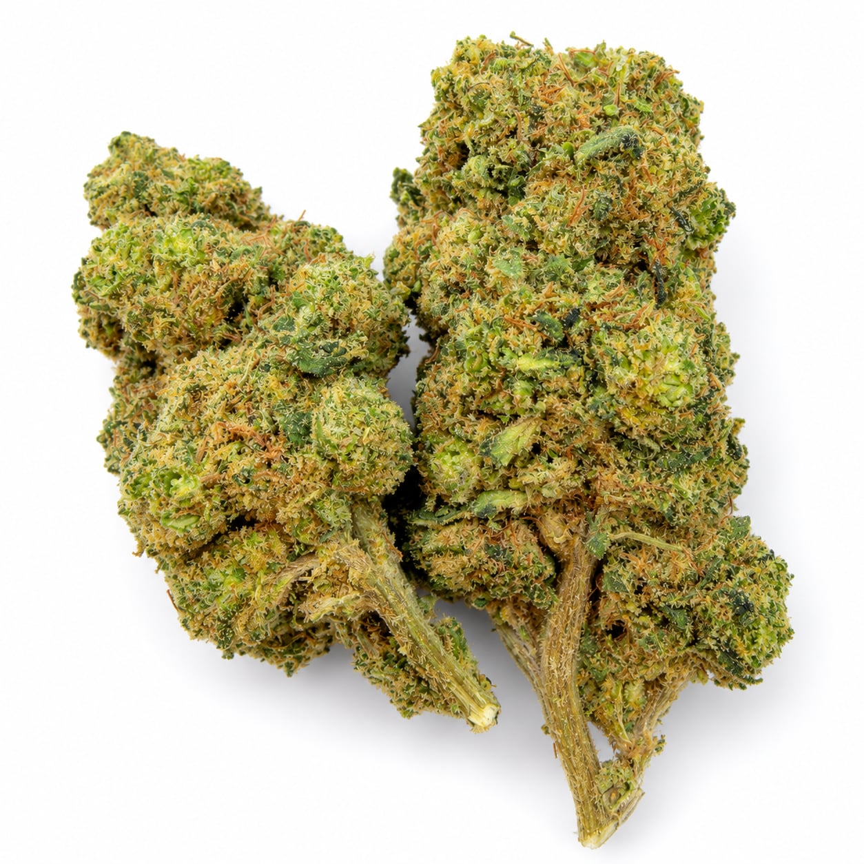Key Lime Pie