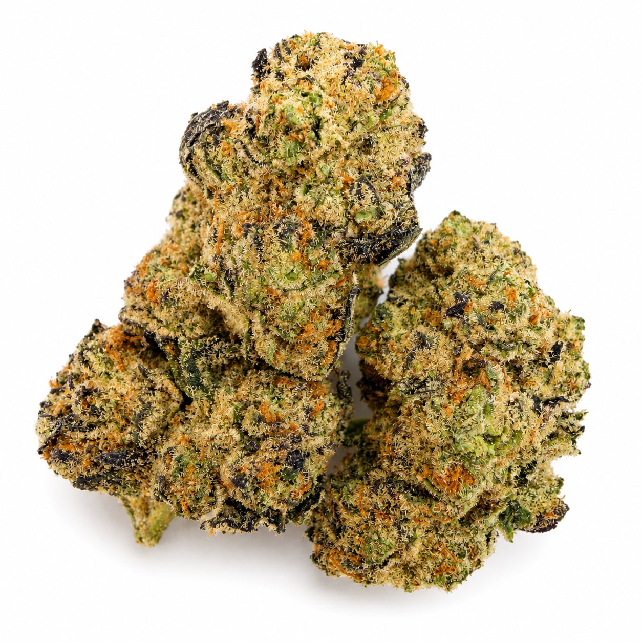 Runtz — view 2