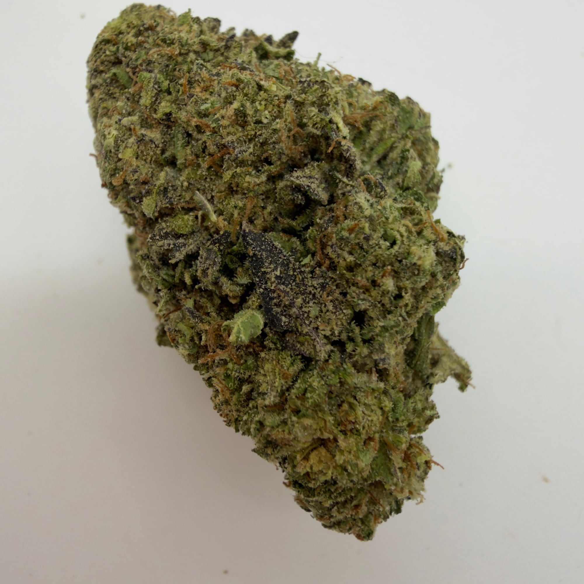 Mochi Runtz — view 2