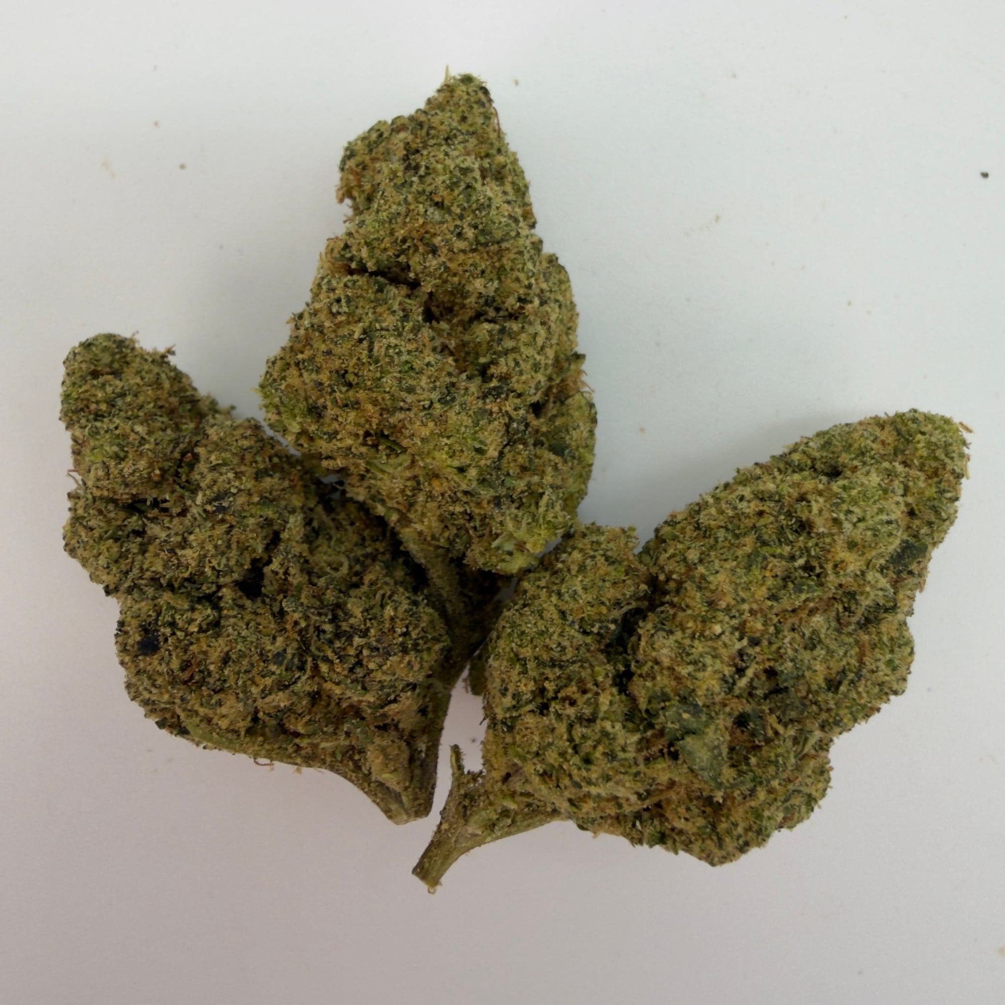 Mule Fuel
