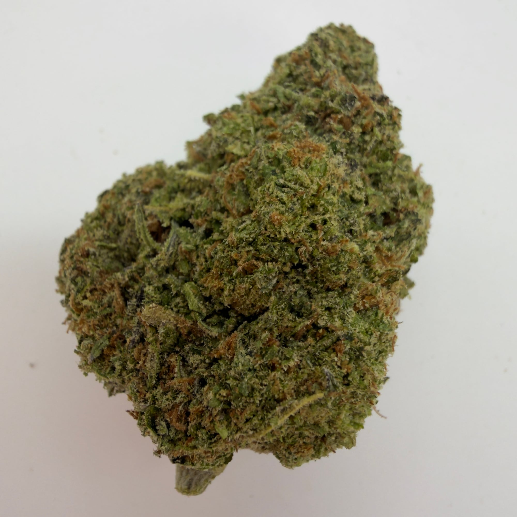 Orange Cream Pop — view 2