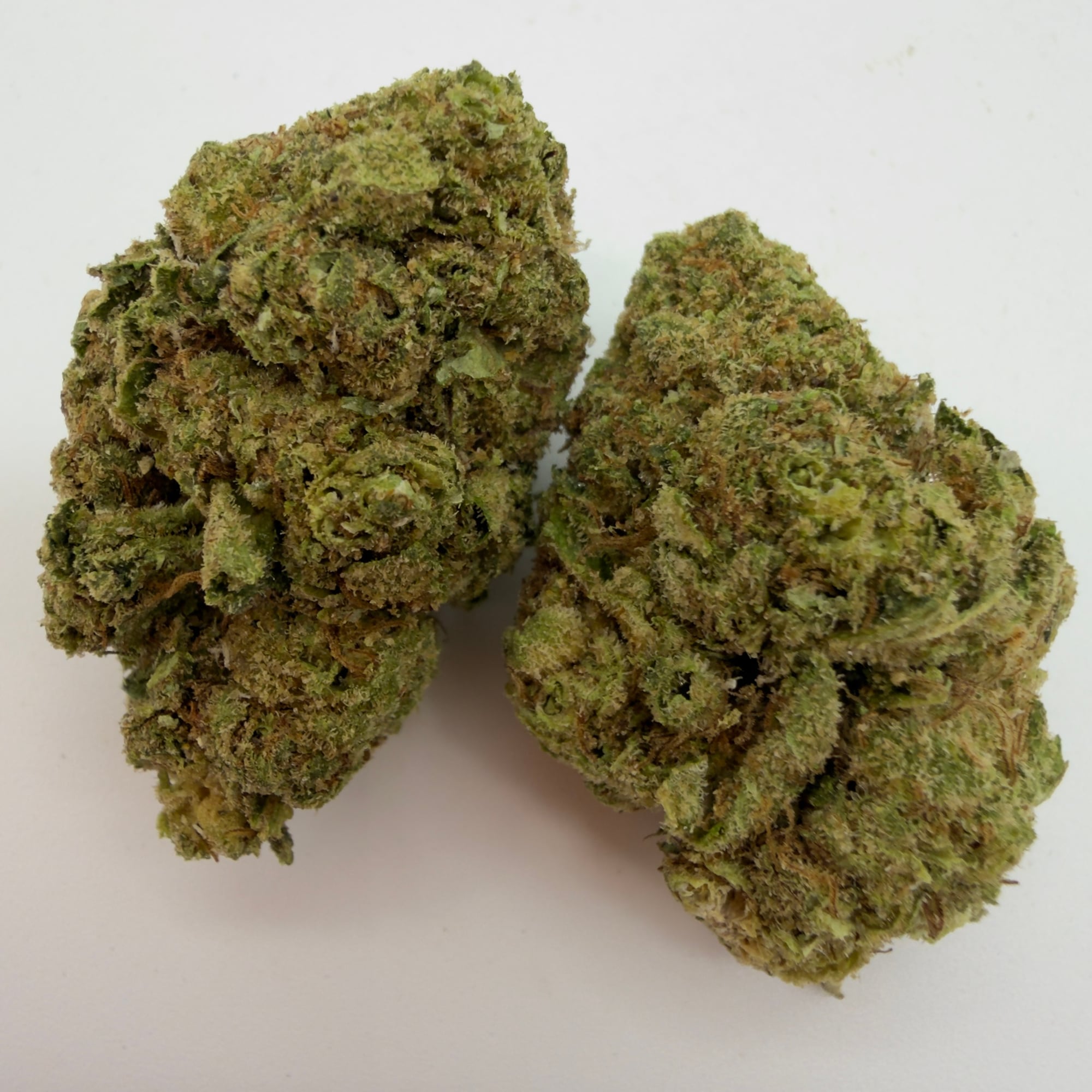 Platinum Gelato — view 2