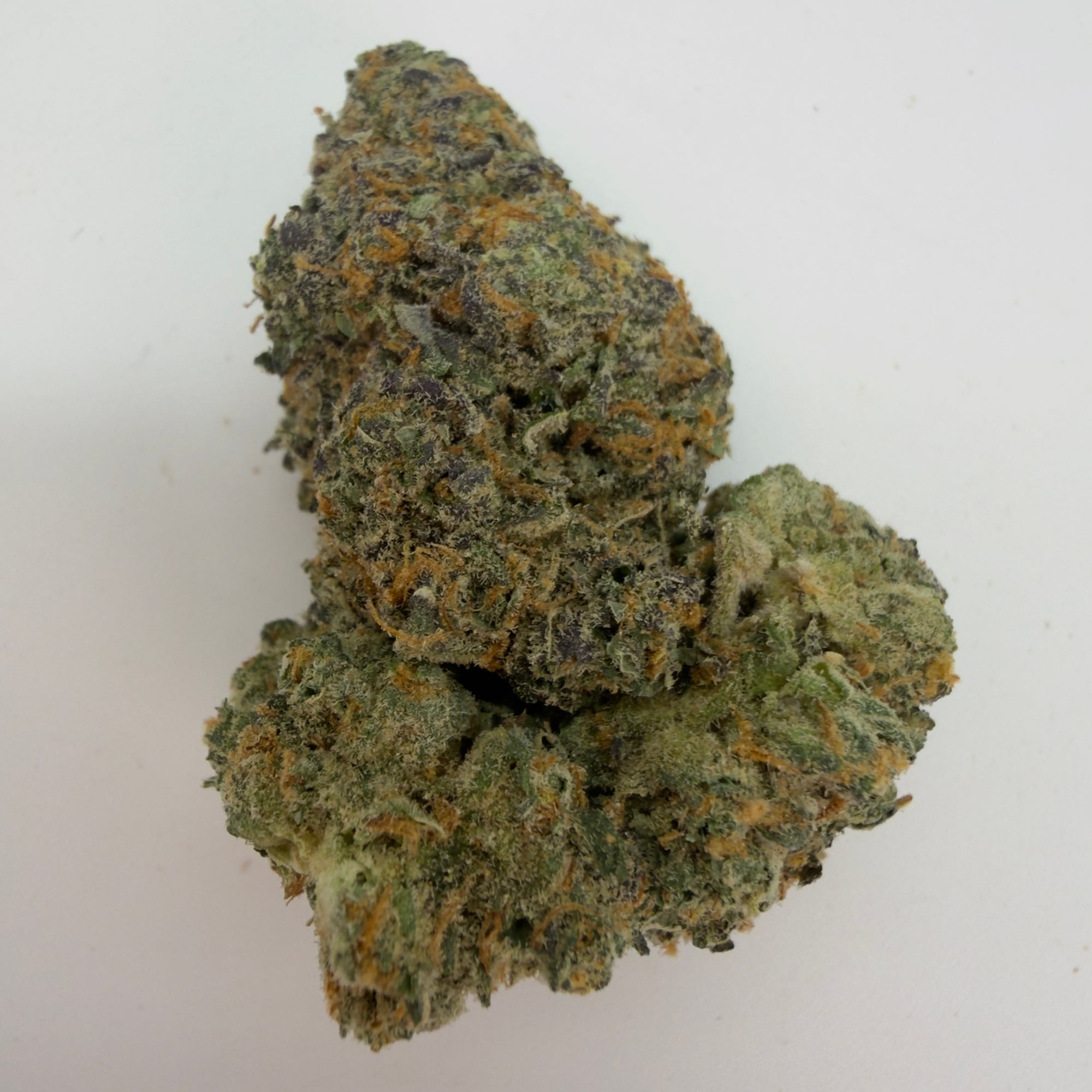 Purple Punch — view 2