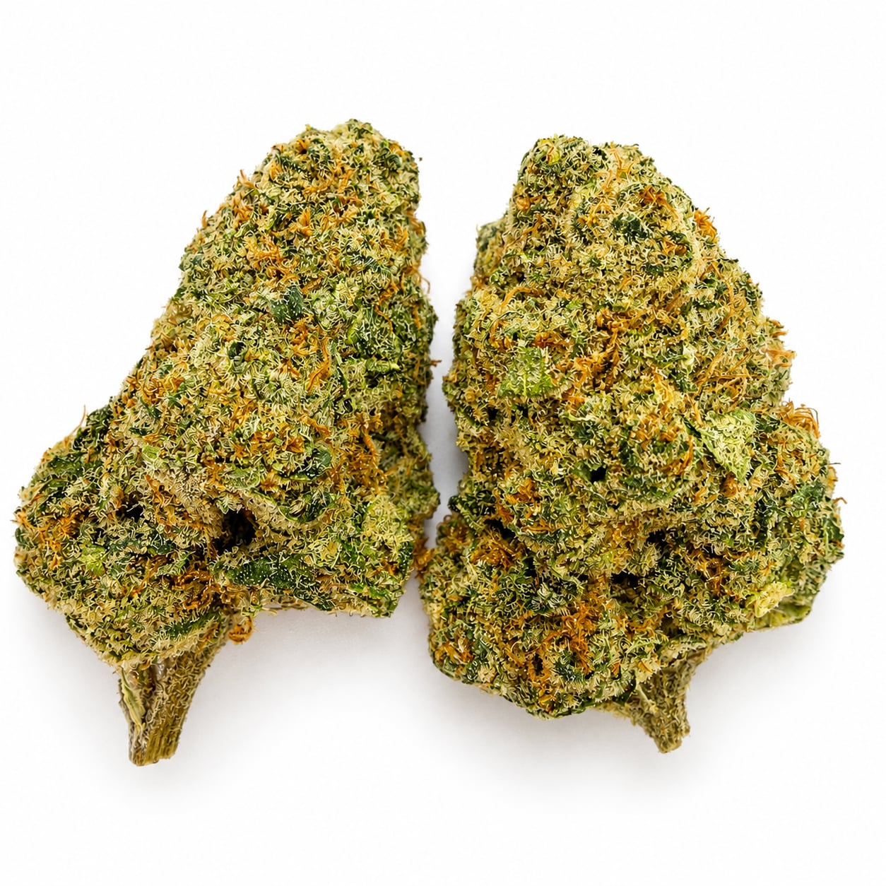Rainbow Glue