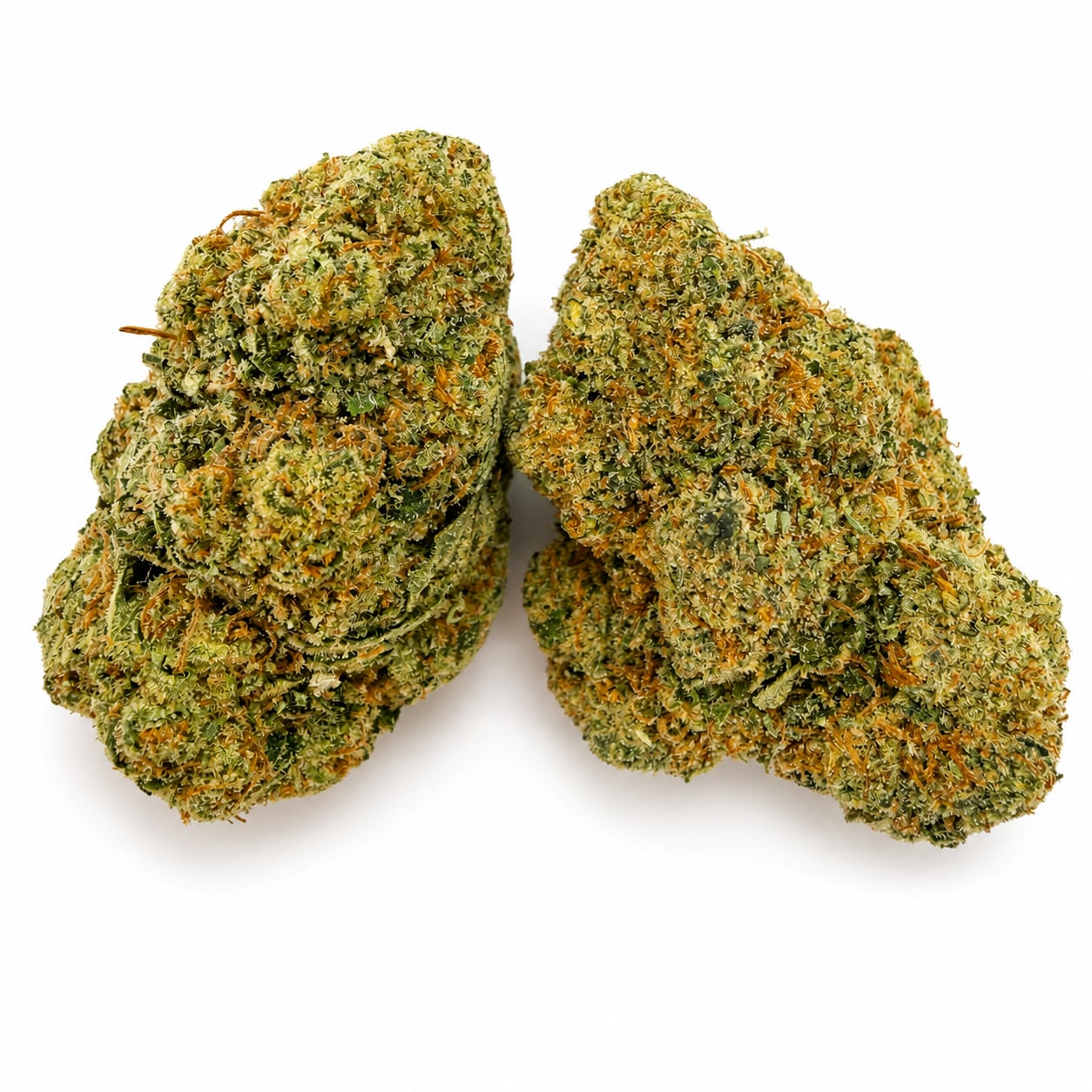 SFV OG