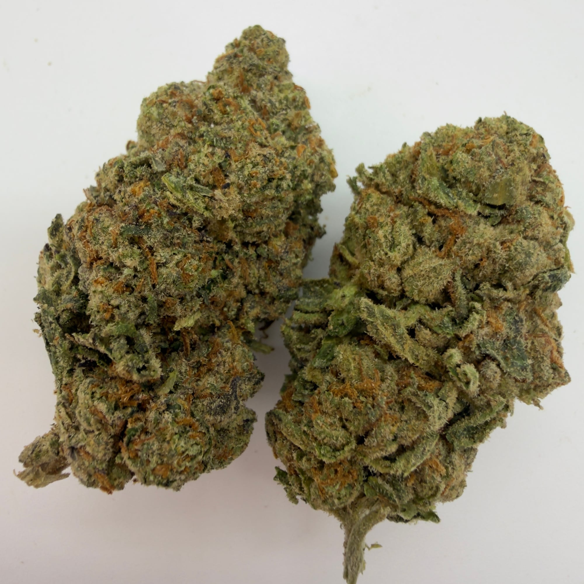 Silver Haze — view 2