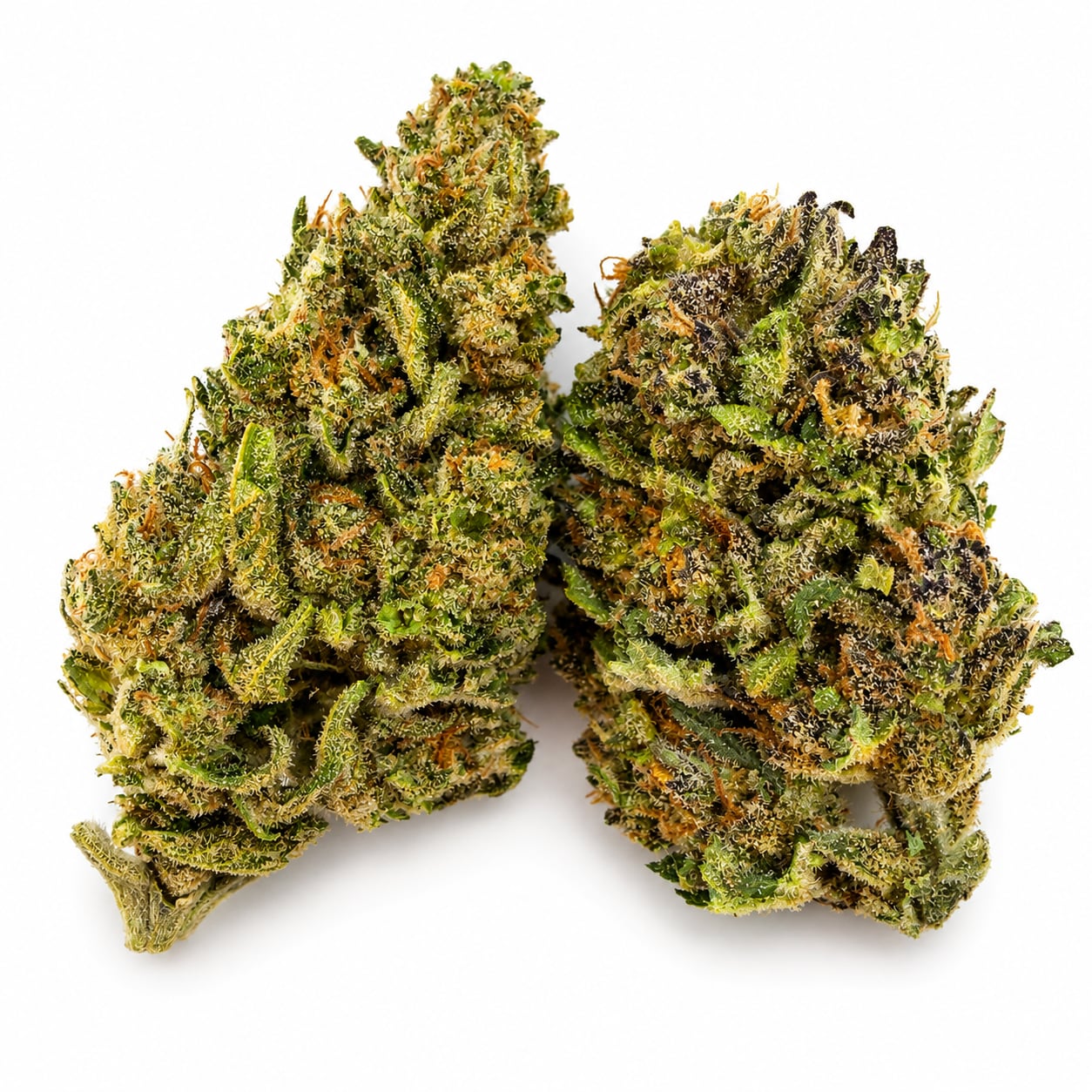 Skittz pop — view 2