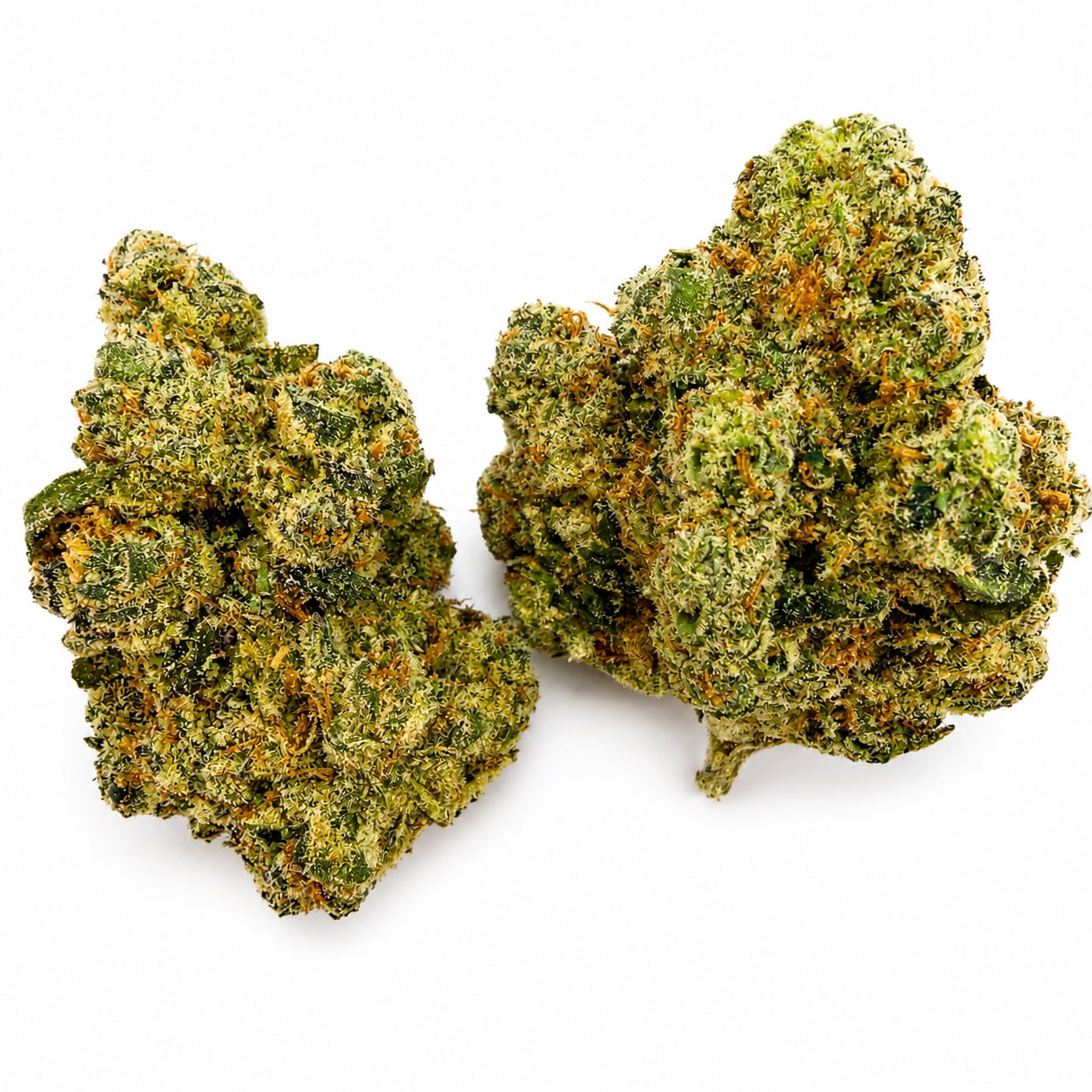 Sour OG