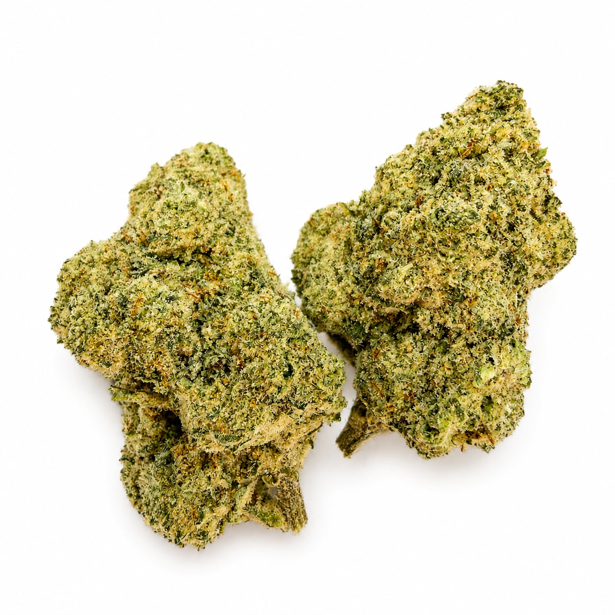 Sour Papaya