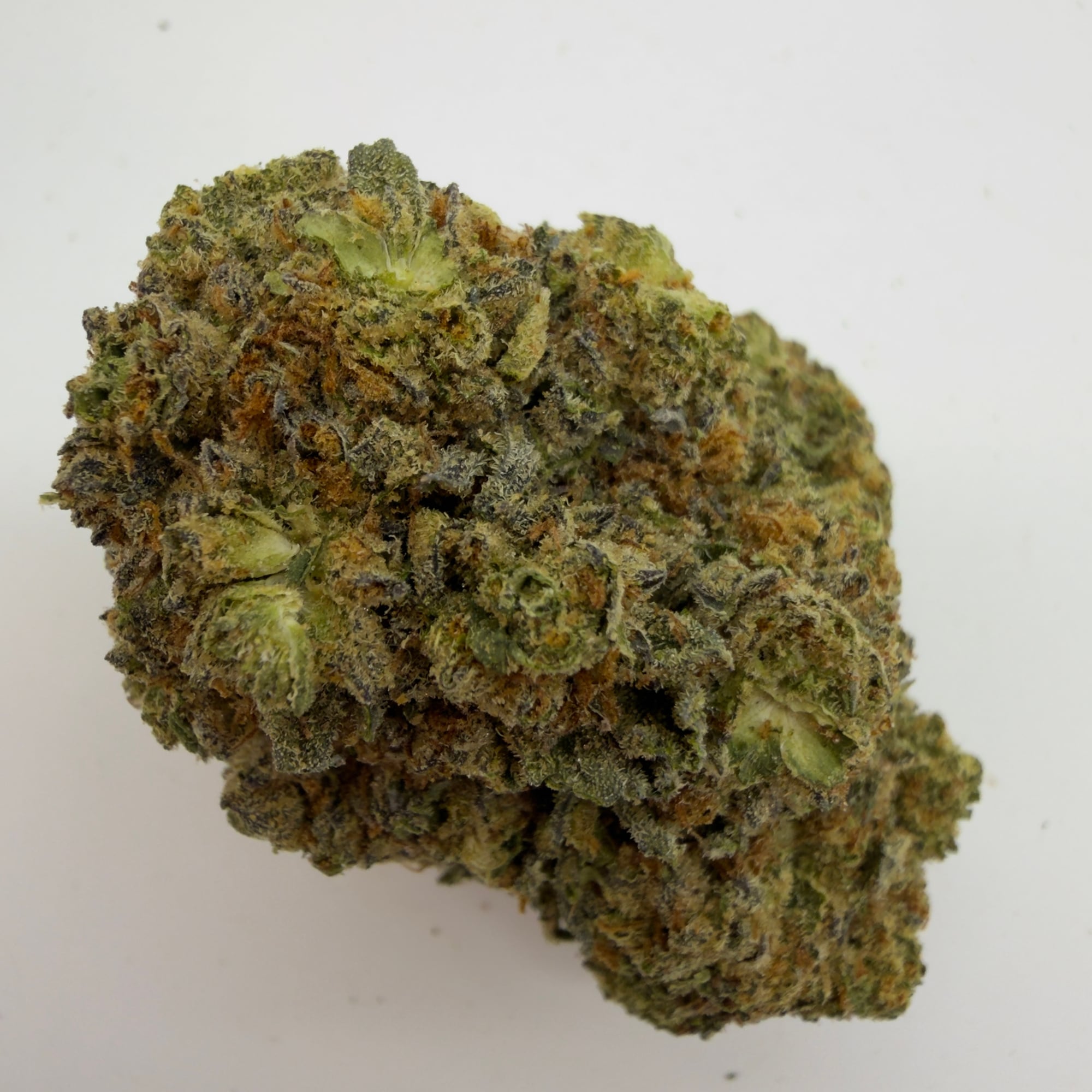 White Cherry Gelato — view 2