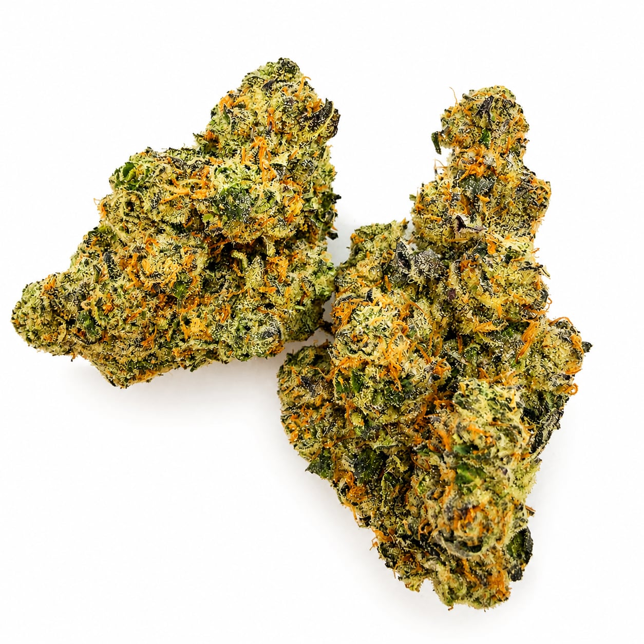 White Widow
